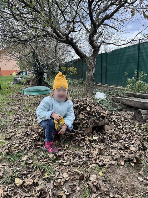 Ježko sa schováva pod lístím v záhrade