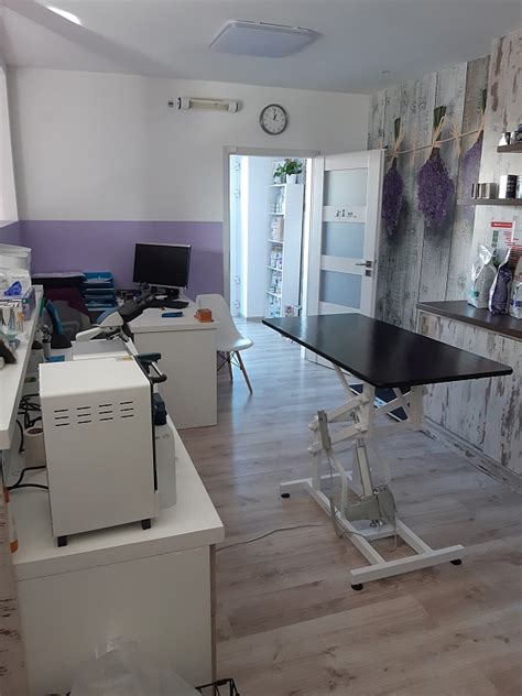 Veterinárka v modernom pracovnom odeve