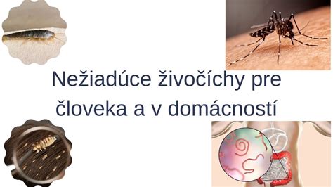Ilustrácia znepokojeného človeka v byte