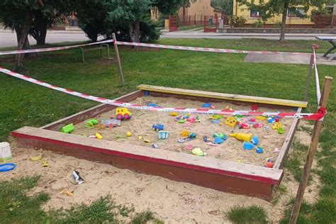 Šteniatka hrajúce sa v pieskovisku