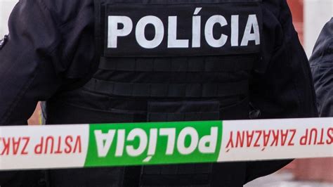 Ilustračná fotografia policajta vykonávajúceho prehliadku