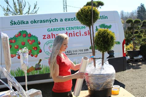 osoba stojaca na rozcestí