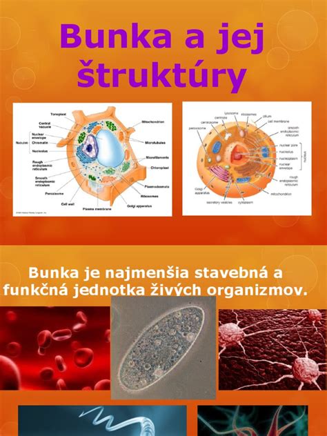 Ilustrácia schránkovej firmy a jej komplexnej vlastníckej štruktúry