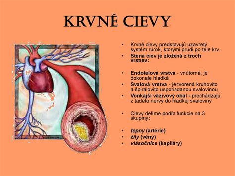 Diagram znázorňujúci vplyv obezity na srdce a cievy