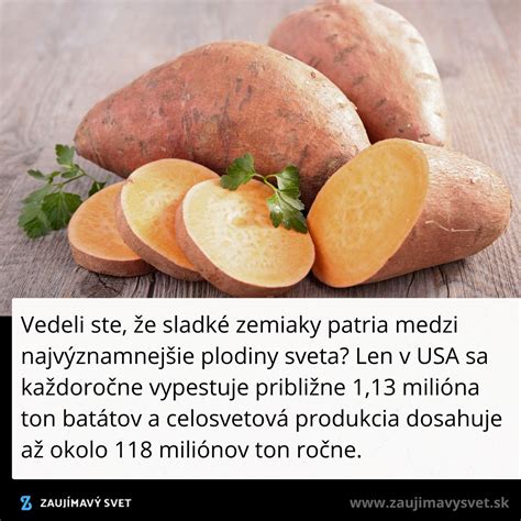 Ilustrácia pórov a ich upchávania