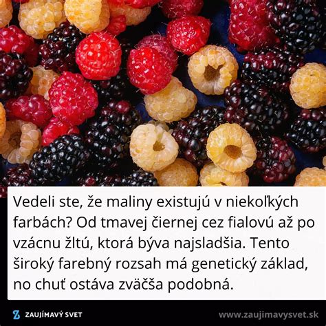 Rôzne druhy malín: červené, žlté a čierne