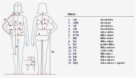 Diagram znázorňujúci správne miesta na meranie obvodu pása a bokov.