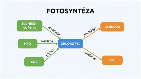Diagram porovnávajúci tri typy dohôd