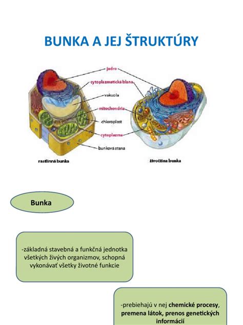 Ukážka štruktúry súvahy