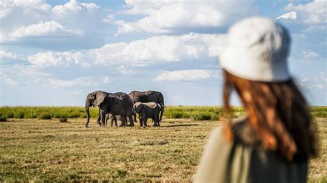 Rodina goríl v ich prirodzenom prostredí