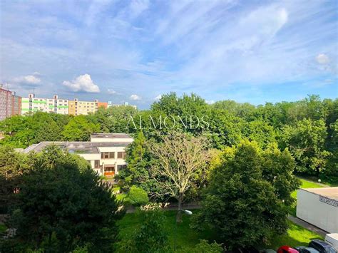 Ulica Štefunkova v Ružinove s výhľadom na zeleň