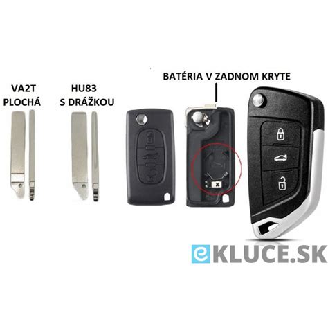 Model zámku a kľúča vs. indukovaného prispôsobenia