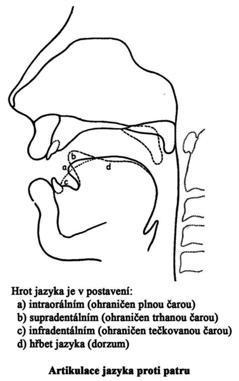 Ilustrácia znázorňujúca správne umiestnenie jazyka pri výslovnosti anglických hlások