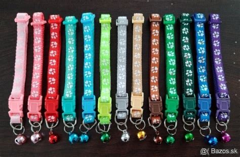 Šteniatko zvykajúce si na obojok