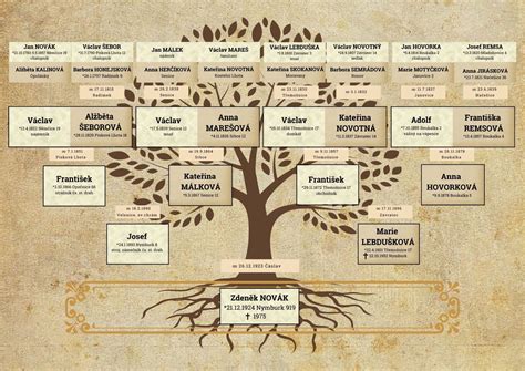 rodinný strom s generáciami