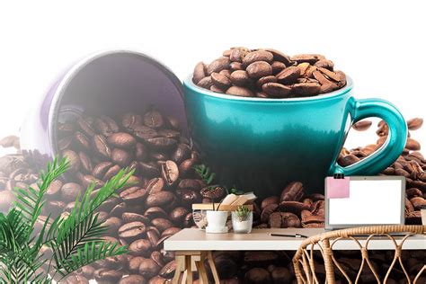 Šálka kávy s kávovými zrnkami a listami