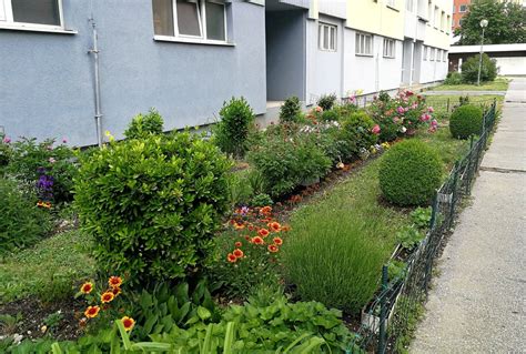 okolie bytového domu v Pliešovciach