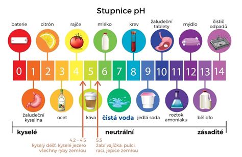Schematické znázornenie pH stupnice