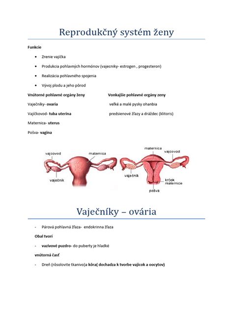 Ženský reprodukčný systém s vajíčkovodmi a vaječníkmi