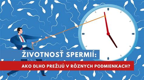 Ilustrácia znázorňujúca životnosť spermií v ženskom tele