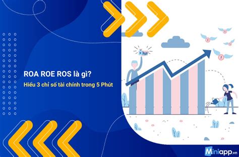 Infografika ukazujúca výpočet ROS, ROA a ROE
