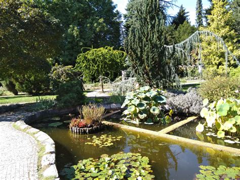Botanická záhrada Bratislava