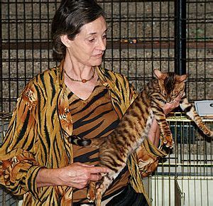 Chovateľka Judy Sugden s mačkou Toyger