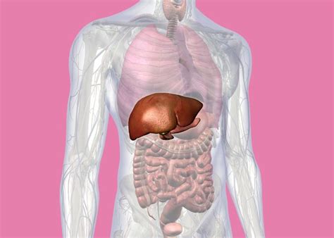 Ilustrácia človeka s pozitívnymi myšlienkami