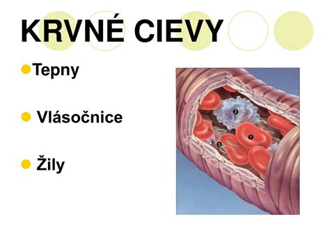 Diagram znázorňujúci zdravú a poškodenú cievu