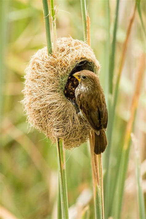 Ilustrácia znázorňujúca rodiča držiaceho za ruku dieťa v nemocničnej posteli