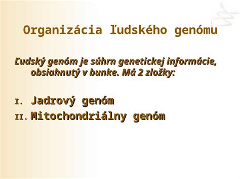 Vizualizácia ľudského genómu