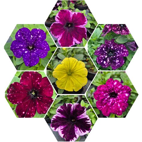 Ilustrácia rôznych farebných bodiek, ktoré sa odlišujú od šedej masy