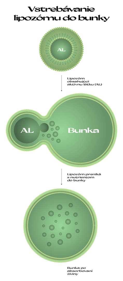 Ilustrácia Braillovej bunky so značenými bodmi