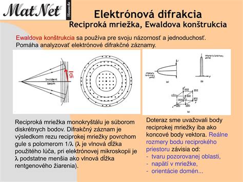 Schéma korelatívnej sondovej a elektrónovej mikroskopie