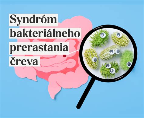 Probiotické baktérie v čreve