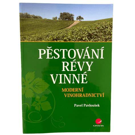 Ilustrácia vinnej révy s ratolesťami