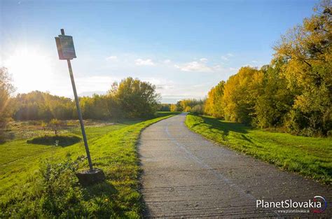 Fotografia Sadu Janka Kráľa