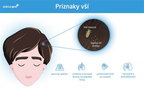 Zväčšený pohľad na vši a hnidy vo vlasoch