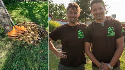 Ilustrácia malinových kríkov s ohraničením