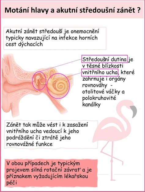 Infografika zobrazujúca vnútorné ucho a jeho funkciu pri udržiavaní rovnováhy