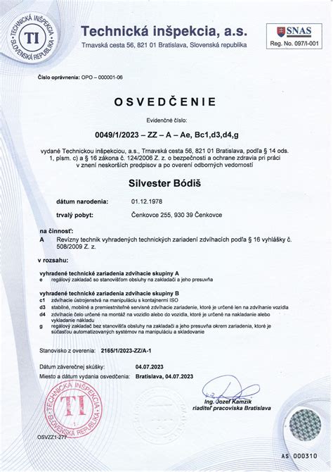 Ilustrácia revízneho technika kontrolujúceho bleskozvod