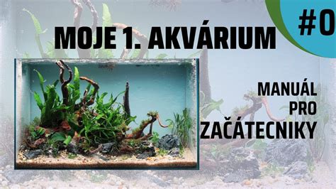 Akvárium s bublinkami zo vzduchovacieho kameňa