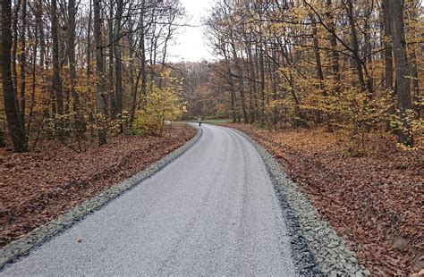 Fotografia lesnej cesty vedúcej k pozemku