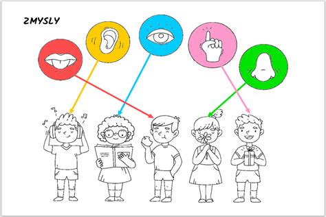 Ilustrácia ľudského mozgu s farebnými oblasťami znázorňujúcimi rôzne zmyslové vnímanie