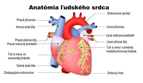 Ilustrácia zobrazujúca rozpadávajúce sa srdce