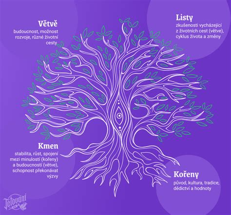Ilustrácia stromu života, kde korene predstavujú vnútorné hodnoty a konáre rôzne aspekty života.