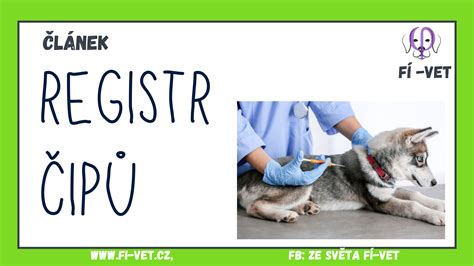 obrázok psieho čipu