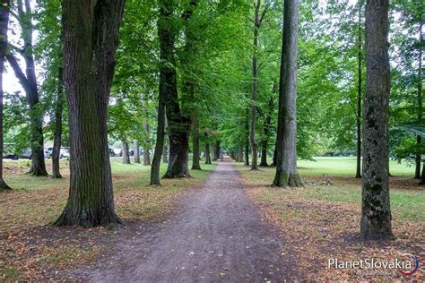 Park v Dúbravke s chodníkmi a stromami
