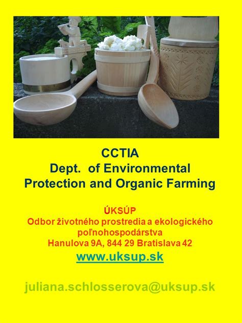 Ilustrácia ekologického mestského prostredia