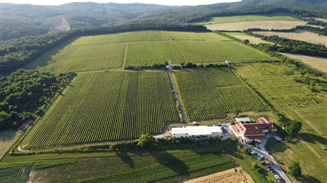 Panoramatický záber na obec Radošina s okolitou prírodou